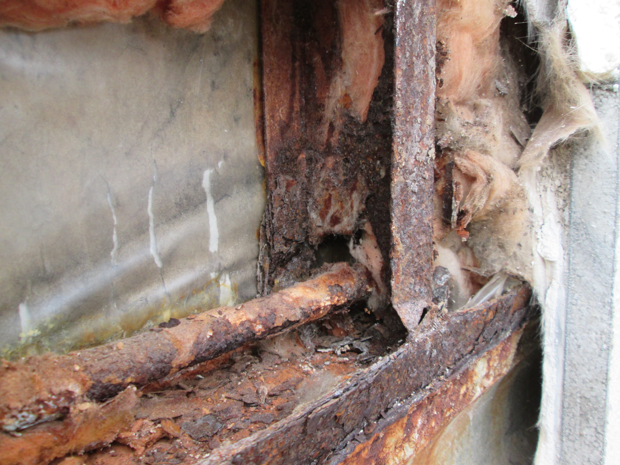 Behind the Walls: The Damaging Effects of Unchecked Moisture